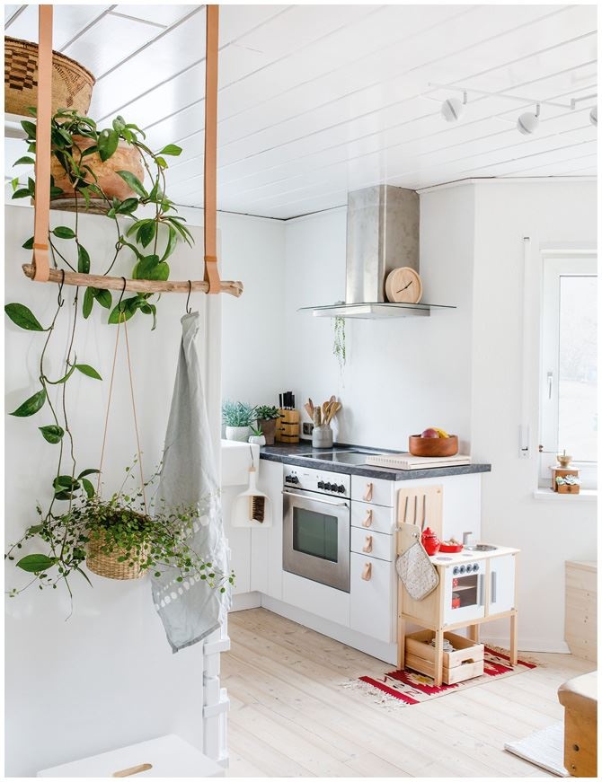 Иллюстрация к книге — Urban Jungle. Как создать уютный интерьер с помощью растений [i_105.jpg]