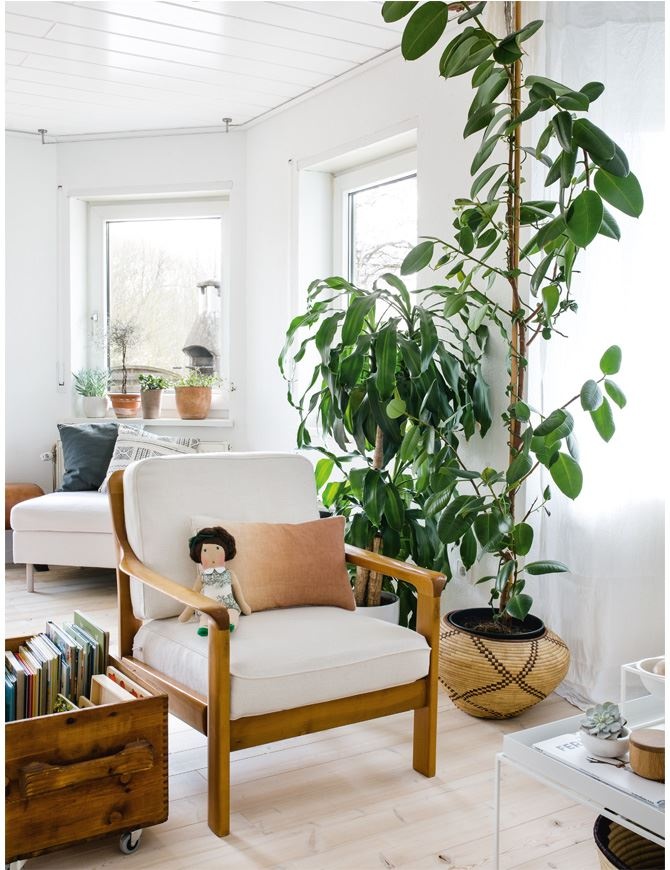 Иллюстрация к книге — Urban Jungle. Как создать уютный интерьер с помощью растений [i_111.jpg]