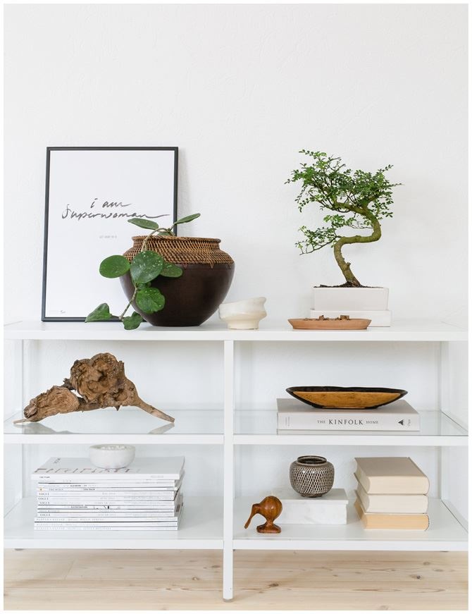 Иллюстрация к книге — Urban Jungle. Как создать уютный интерьер с помощью растений [i_112.jpg]