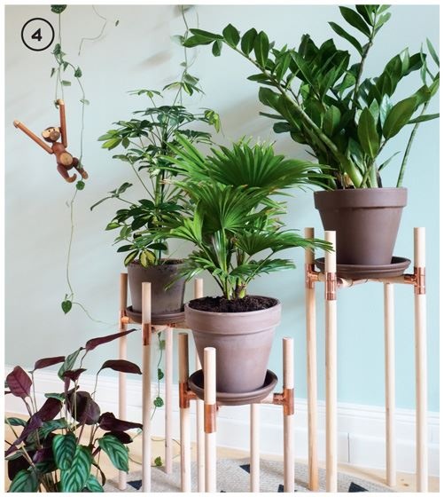 Иллюстрация к книге — Urban Jungle. Как создать уютный интерьер с помощью растений [i_119.jpg]