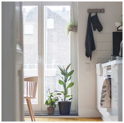 Иллюстрация к книге — Urban Jungle. Как создать уютный интерьер с помощью растений [i_133.jpg]