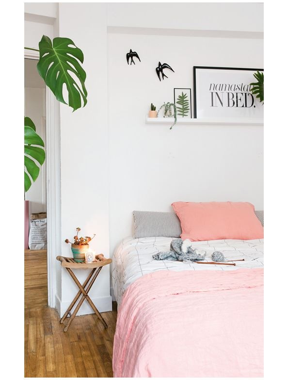 Иллюстрация к книге — Urban Jungle. Как создать уютный интерьер с помощью растений [i_145.jpg]