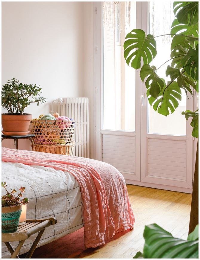 Иллюстрация к книге — Urban Jungle. Как создать уютный интерьер с помощью растений [i_149.jpg]