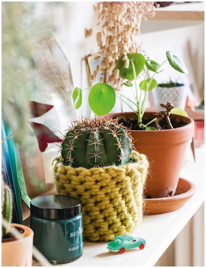 Иллюстрация к книге — Urban Jungle. Как создать уютный интерьер с помощью растений [i_150.jpg]