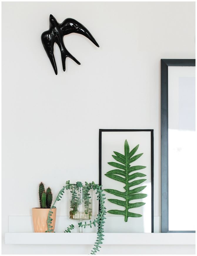 Иллюстрация к книге — Urban Jungle. Как создать уютный интерьер с помощью растений [i_160.jpg]