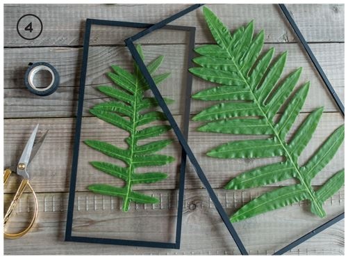 Иллюстрация к книге — Urban Jungle. Как создать уютный интерьер с помощью растений [i_164.jpg]