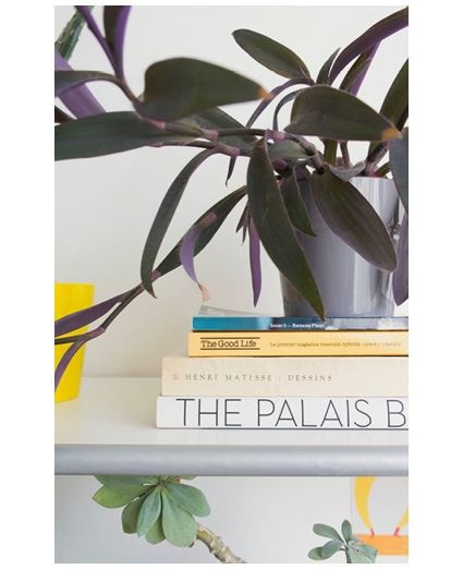 Иллюстрация к книге — Urban Jungle. Как создать уютный интерьер с помощью растений [i_168.jpg]