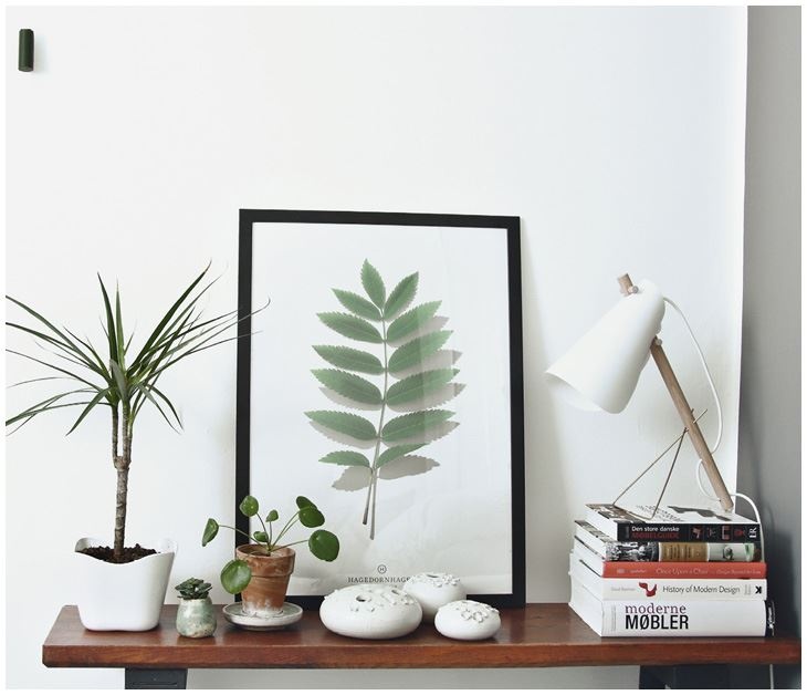 Иллюстрация к книге — Urban Jungle. Как создать уютный интерьер с помощью растений [i_173.jpg]