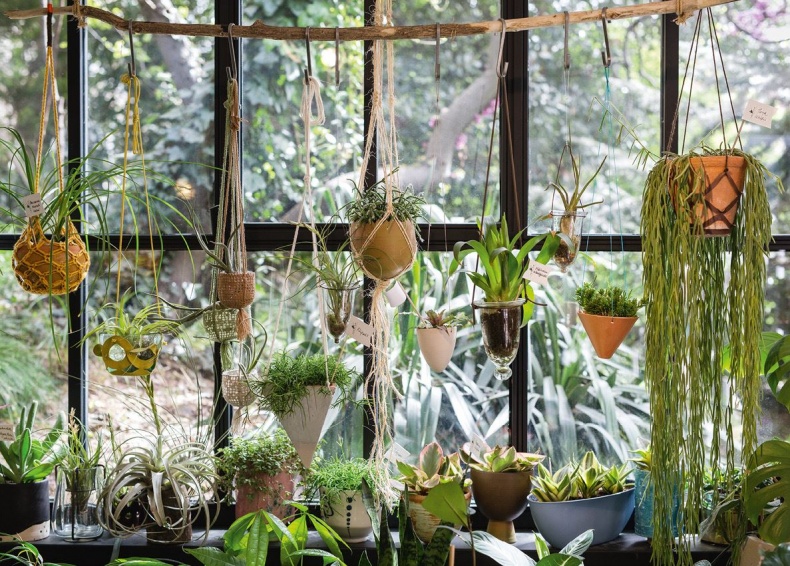 Иллюстрация к книге — Urban Jungle. Как создать уютный интерьер с помощью растений [i_186.jpg]