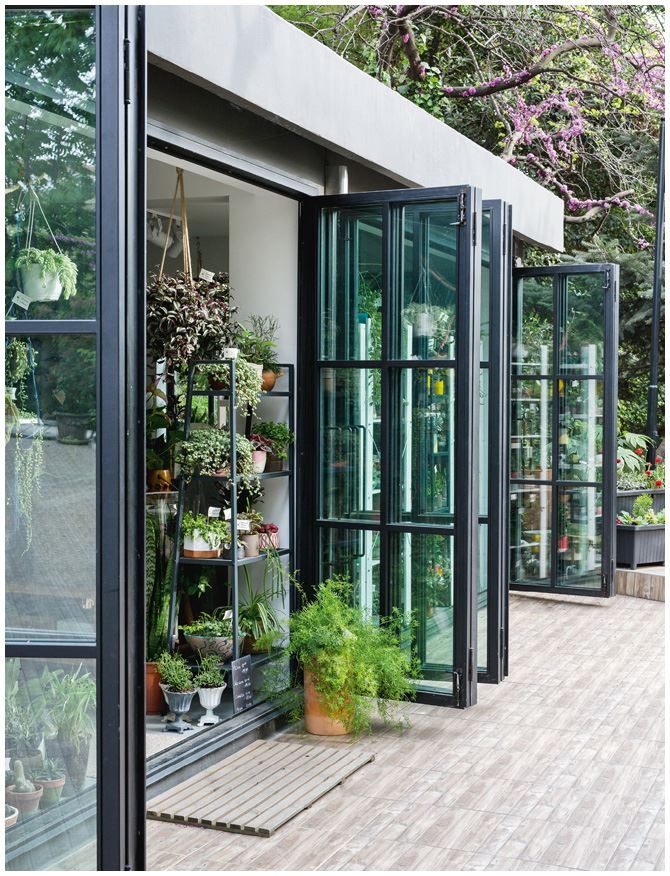 Иллюстрация к книге — Urban Jungle. Как создать уютный интерьер с помощью растений [i_188.jpg]