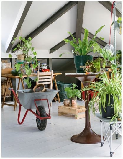 Иллюстрация к книге — Urban Jungle. Как создать уютный интерьер с помощью растений [i_192.jpg]