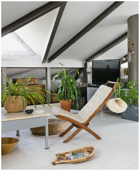 Иллюстрация к книге — Urban Jungle. Как создать уютный интерьер с помощью растений [i_196.jpg]