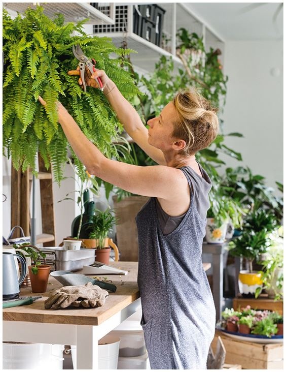 Иллюстрация к книге — Urban Jungle. Как создать уютный интерьер с помощью растений [i_201.jpg]