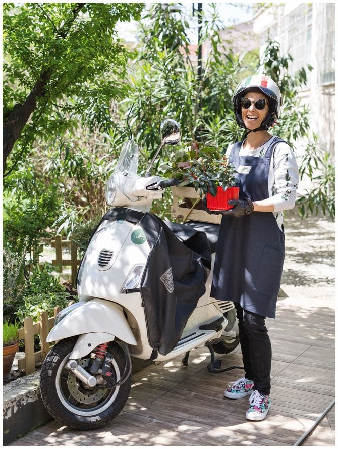 Иллюстрация к книге — Urban Jungle. Как создать уютный интерьер с помощью растений [i_203.jpg]