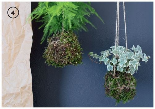 Иллюстрация к книге — Urban Jungle. Как создать уютный интерьер с помощью растений [i_208.jpg]