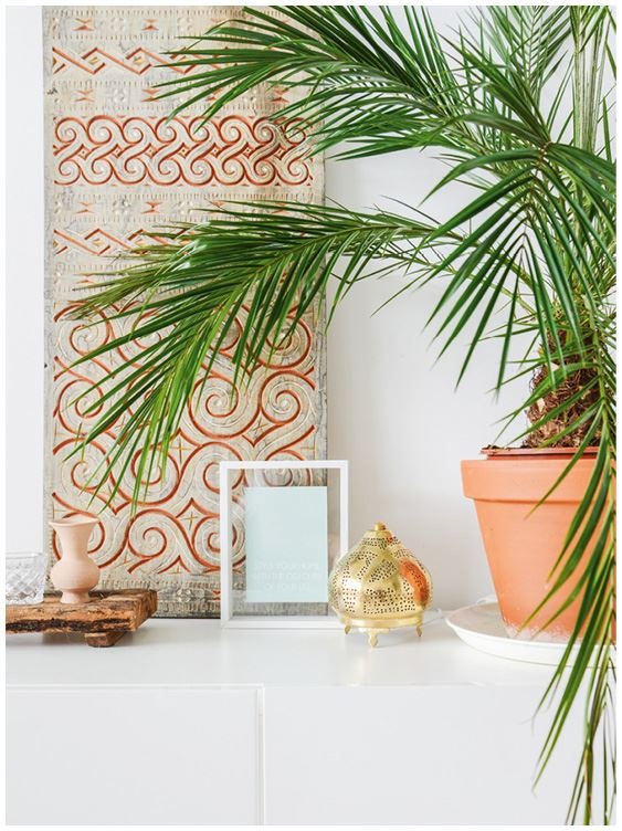 Иллюстрация к книге — Urban Jungle. Как создать уютный интерьер с помощью растений [i_210.jpg]