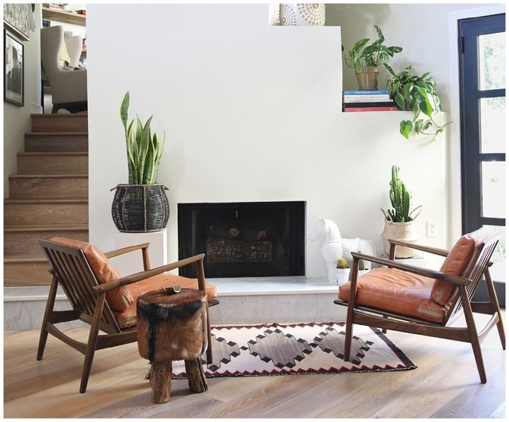 Иллюстрация к книге — Urban Jungle. Как создать уютный интерьер с помощью растений [i_217.jpg]