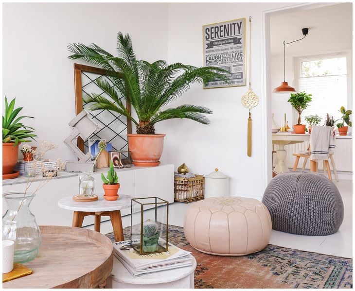 Иллюстрация к книге — Urban Jungle. Как создать уютный интерьер с помощью растений [i_221.jpg]