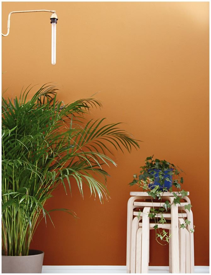 Иллюстрация к книге — Urban Jungle. Как создать уютный интерьер с помощью растений [i_222.jpg]