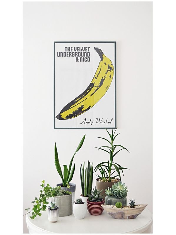 Иллюстрация к книге — Urban Jungle. Как создать уютный интерьер с помощью растений [i_224.jpg]