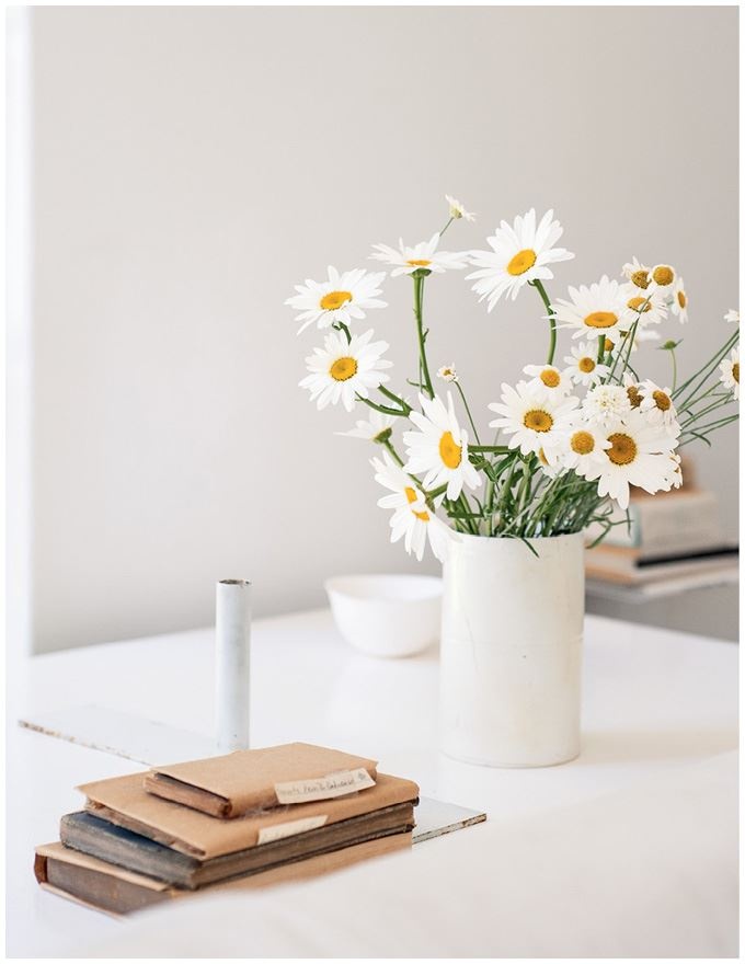 Иллюстрация к книге — Remodelista. Уютный дом. Простые и стильные идеи организации пространства [i_120.jpg]