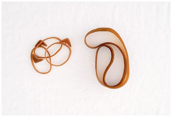 Иллюстрация к книге — Remodelista. Уютный дом. Простые и стильные идеи организации пространства [i_166.jpg]