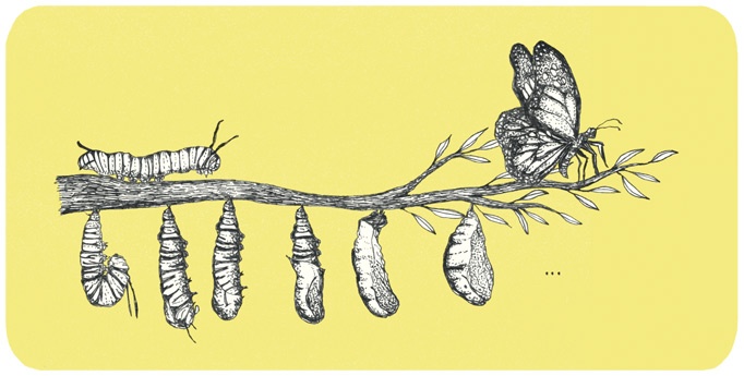 Иллюстрация к книге — Может ли жираф облизать свои уши? [i_010.jpg]