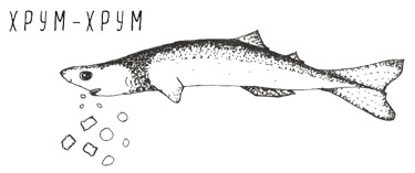 Иллюстрация к книге — Может ли жираф облизать свои уши? [i_013.jpg]