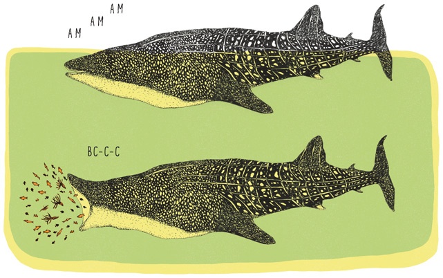 Иллюстрация к книге — Может ли жираф облизать свои уши? [i_016.jpg]