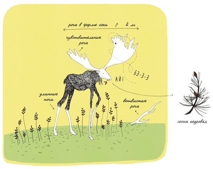 Иллюстрация к книге — Может ли жираф облизать свои уши? [i_018.jpg]