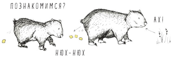 Иллюстрация к книге — Может ли жираф облизать свои уши? [i_021.jpg]