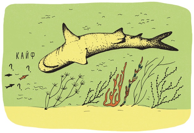 Иллюстрация к книге — Может ли жираф облизать свои уши? [i_024.jpg]