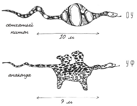 Иллюстрация к книге — Может ли жираф облизать свои уши? [i_033.jpg]