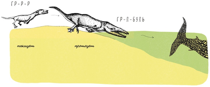 Иллюстрация к книге — Может ли жираф облизать свои уши? [i_039.jpg]