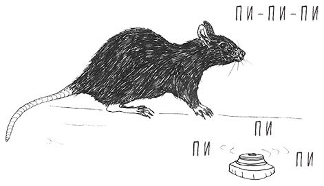 Иллюстрация к книге — Может ли жираф облизать свои уши? [i_043.jpg]