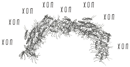 Иллюстрация к книге — Может ли жираф облизать свои уши? [i_048.jpg]