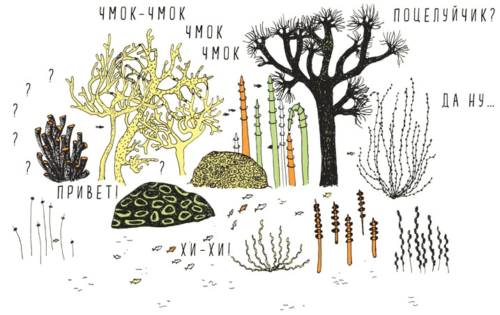 Иллюстрация к книге — Может ли жираф облизать свои уши? [i_049.jpg]