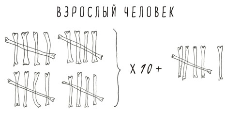 Иллюстрация к книге — Может ли жираф облизать свои уши? [i_057.jpg]