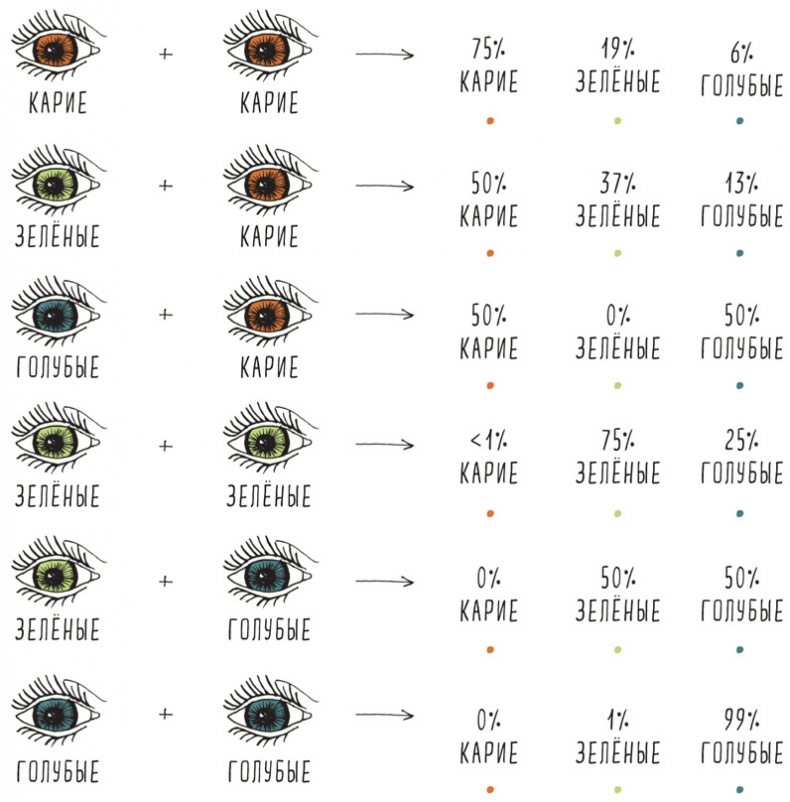 Иллюстрация к книге — Может ли жираф облизать свои уши? [i_071.jpg]
