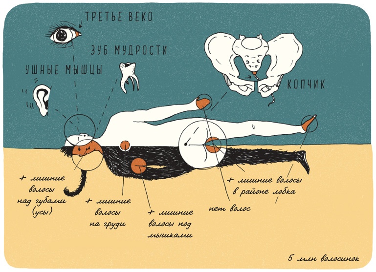 Иллюстрация к книге — Может ли жираф облизать свои уши? [i_080.jpg]
