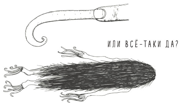 Иллюстрация к книге — Может ли жираф облизать свои уши? [i_084.jpg]