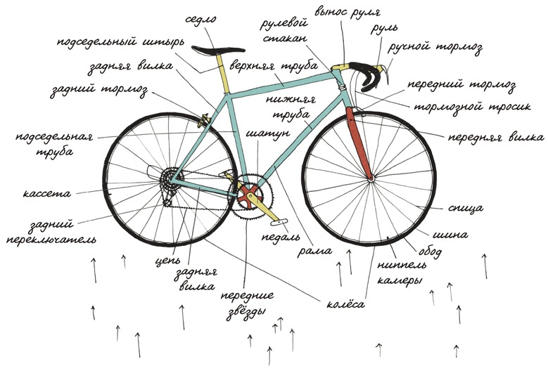 Иллюстрация к книге — Может ли жираф облизать свои уши? [i_092.jpg]