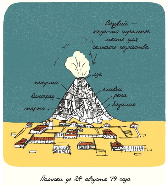 Иллюстрация к книге — Может ли жираф облизать свои уши? [i_161.jpg]