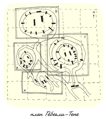 Иллюстрация к книге — Может ли жираф облизать свои уши? [i_169.jpg]