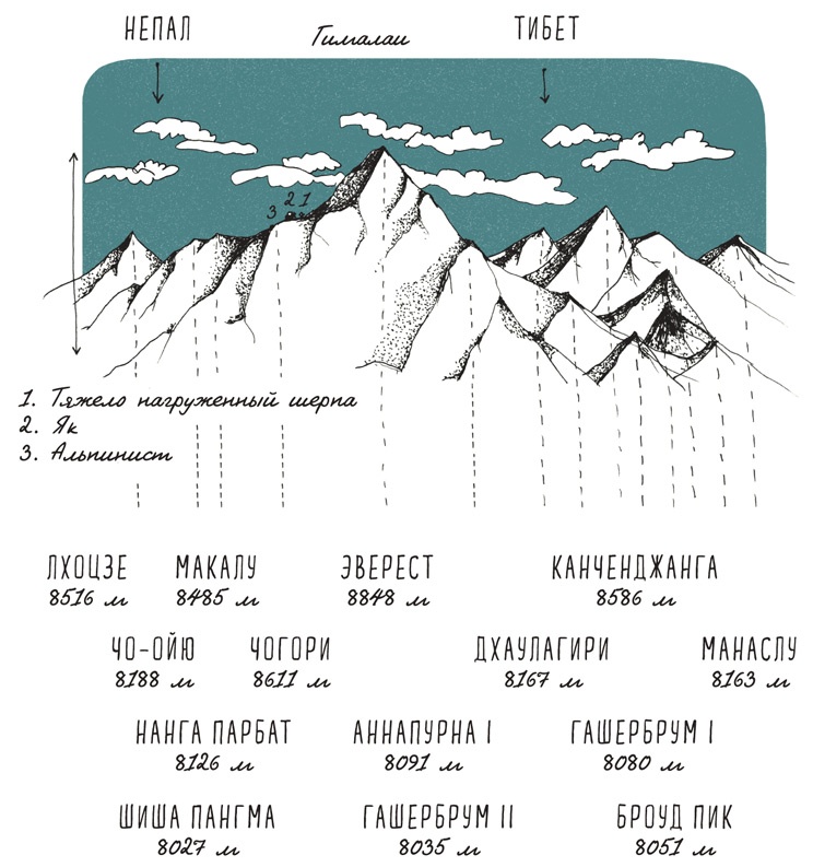Иллюстрация к книге — Может ли жираф облизать свои уши? [i_183.jpg]