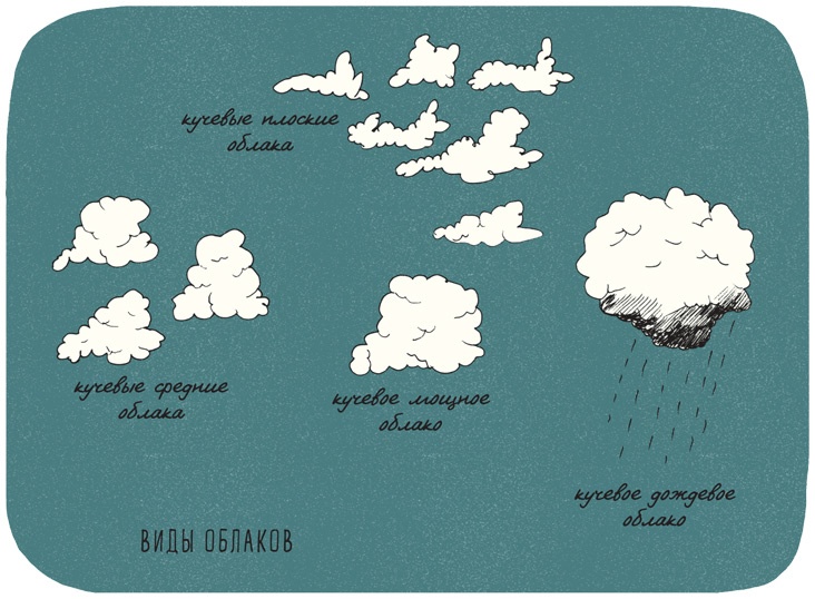 Иллюстрация к книге — Может ли жираф облизать свои уши? [i_188.jpg]