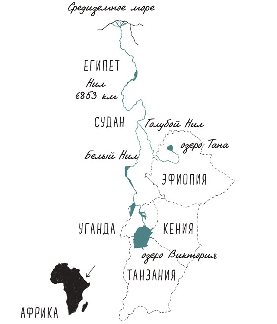 Иллюстрация к книге — Может ли жираф облизать свои уши? [i_192.jpg]