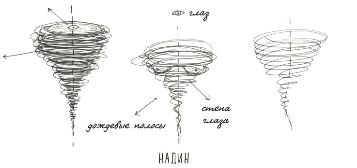 Иллюстрация к книге — Может ли жираф облизать свои уши? [i_194.jpg]