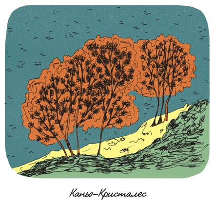 Иллюстрация к книге — Может ли жираф облизать свои уши? [i_211.jpg]