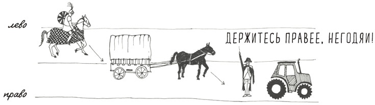 Иллюстрация к книге — Может ли жираф облизать свои уши? [i_216.jpg]